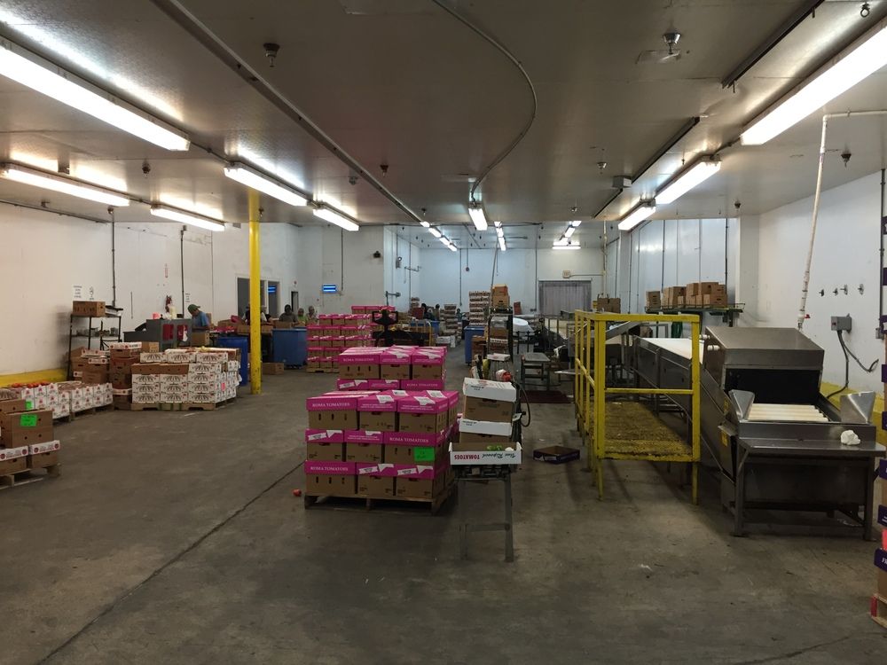 Bank-Owned Cold Storage Warehouse (USDA-Approved) & Expansion Lot : 290 SW 14th Ave, Pompano Beach, FL 33069